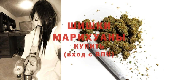 индика Балабаново