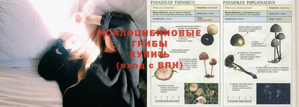 амф Белоозёрский