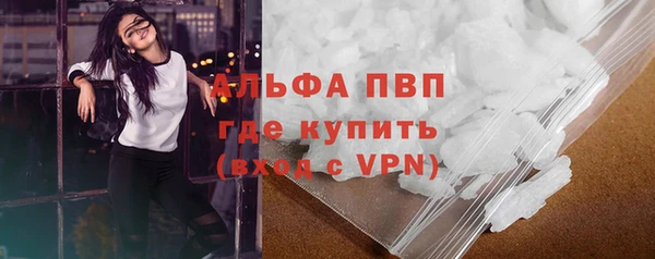 индика Балабаново