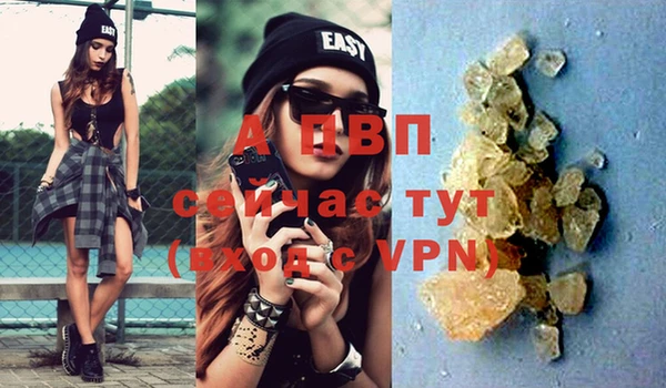 индика Балабаново