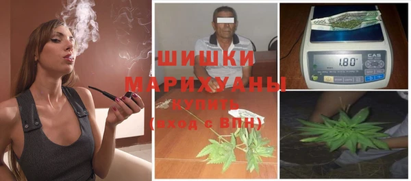 индика Балабаново