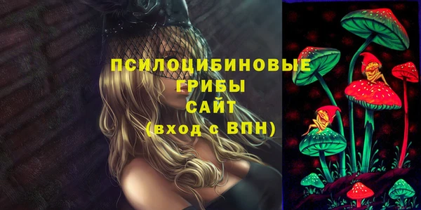 индика Балабаново