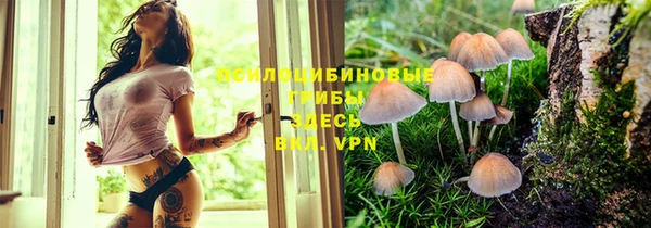 индика Балабаново