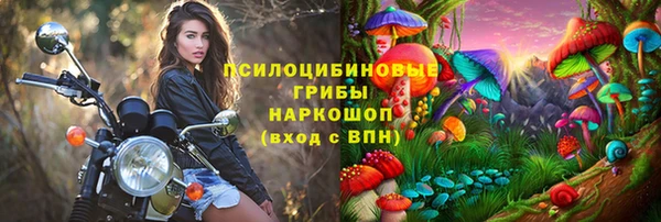 индика Балабаново