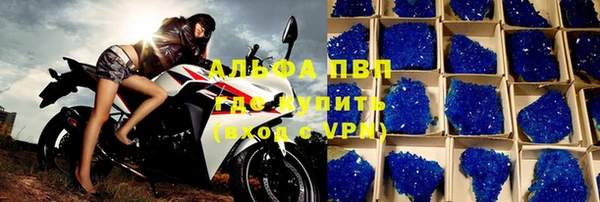 индика Балабаново