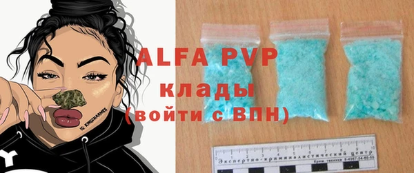 индика Балабаново