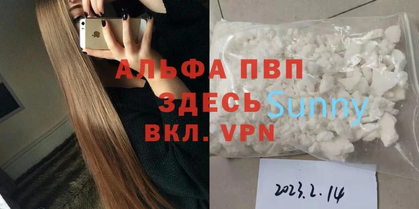 индика Балабаново
