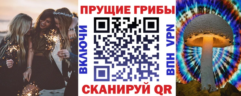 Галлюциногенные грибы мухоморы  Салаир 